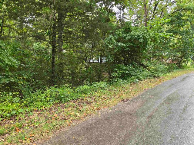 30 Suanee Drive, Cherokee Village, AR 72529