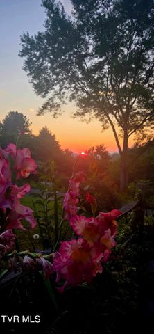 289 Brookside Lane, Bluff City, TN 37618