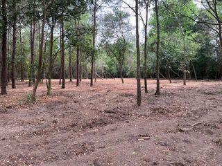 00 Kinsey Road Lot 1b, Dothan, AL 36303