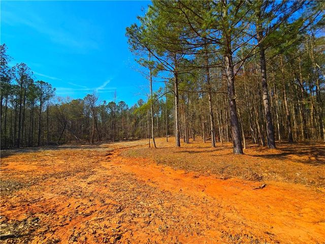 2001 Rocky Creek Road, Mansfield, GA 30055