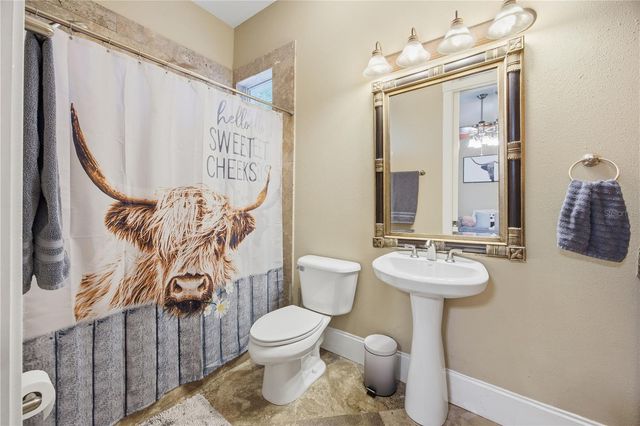 15389 SE 105TH TERRACE ROAD, Summerfield, FL 34491