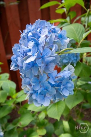 2021 Windfield Drive, Monroe, GA 30655