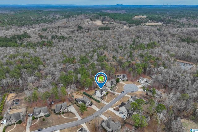 1363 WILLOW OAKS DRIVE, Chelsea, AL 35186