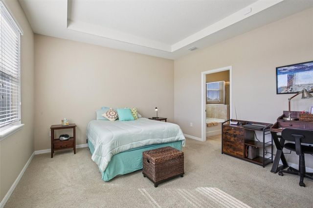 32030 GODDARD DRIVE, Wesley Chapel, FL 33543