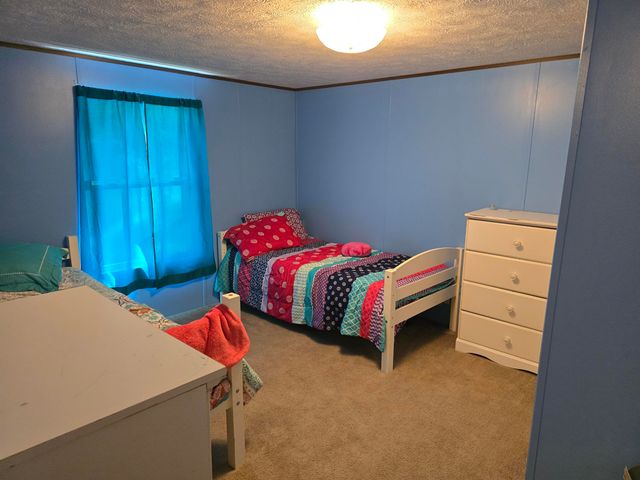 285 Lace Loop, Conway, MO 65632