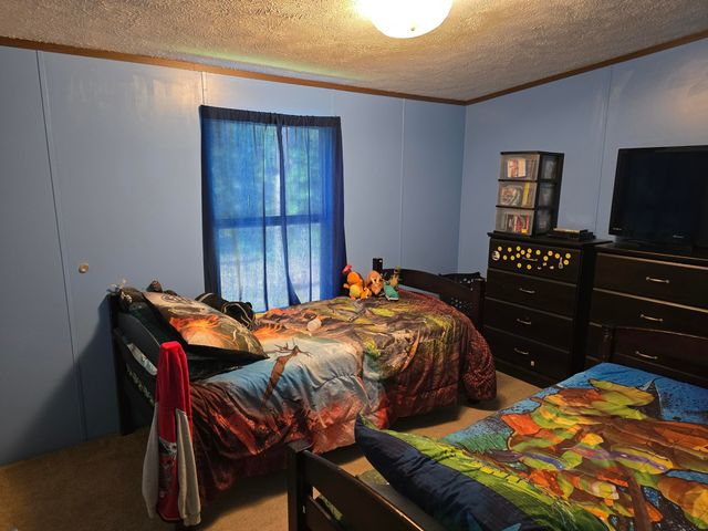 285 Lace Loop, Conway, MO 65632