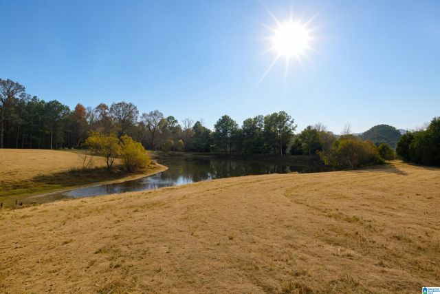 13100 ALABAMA HIGHWAY 174, Odenville, AL 35120