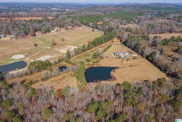 13100 ALABAMA HIGHWAY 174, Odenville, AL 35120