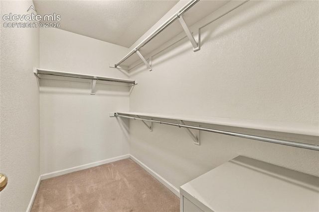 7538 Sailwind Drive, Colorado Springs, CO 80925