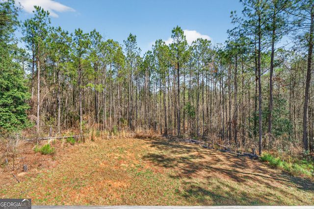 155 Shetland Pines Drive, Macon, GA 31216