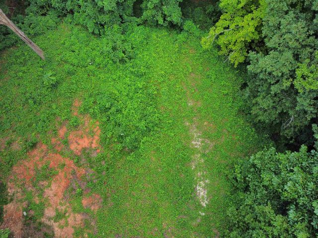 200 Goforth Road, Landrum, SC 29356