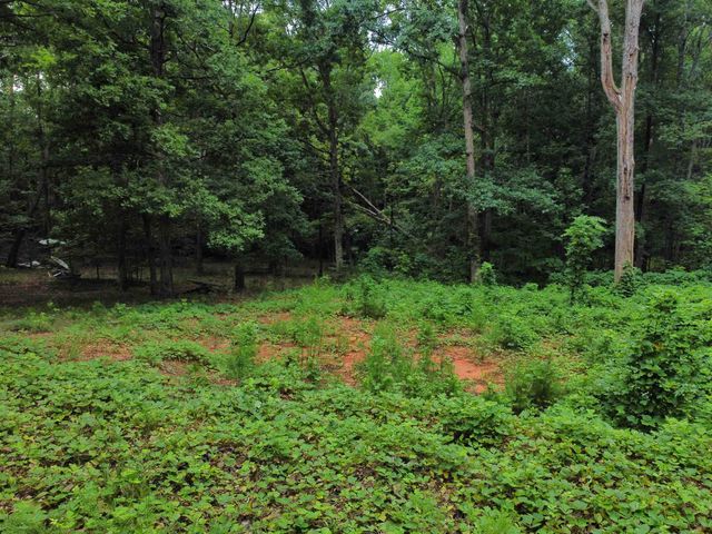 200 Goforth Road, Landrum, SC 29356