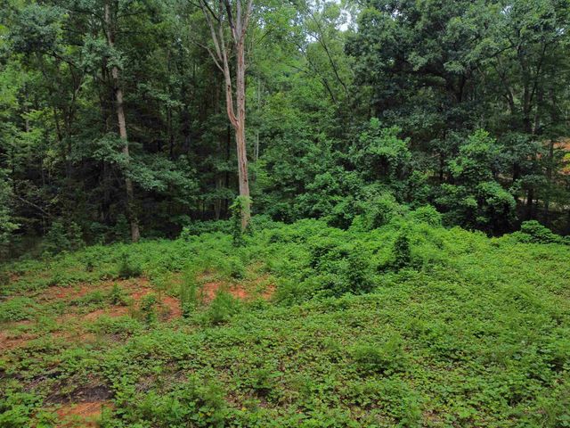 200 Goforth Road, Landrum, SC 29356