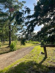 145 Newsome Road, Gilmer, TX 75644