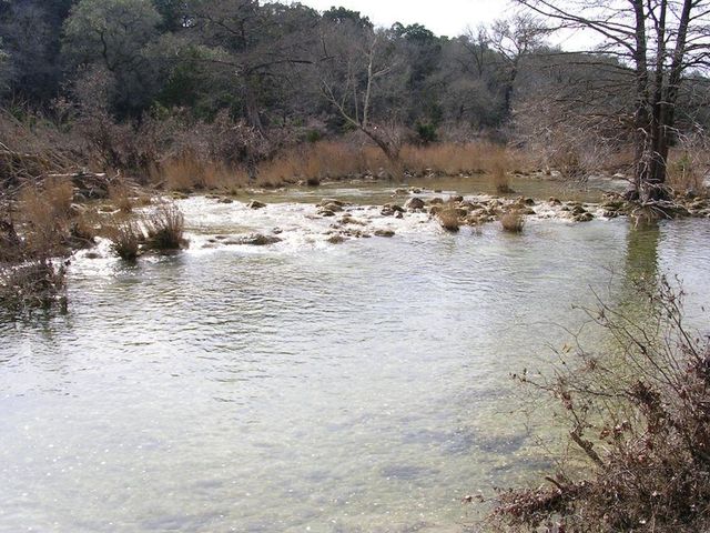 1081 Clark CV, Buda, TX 78610