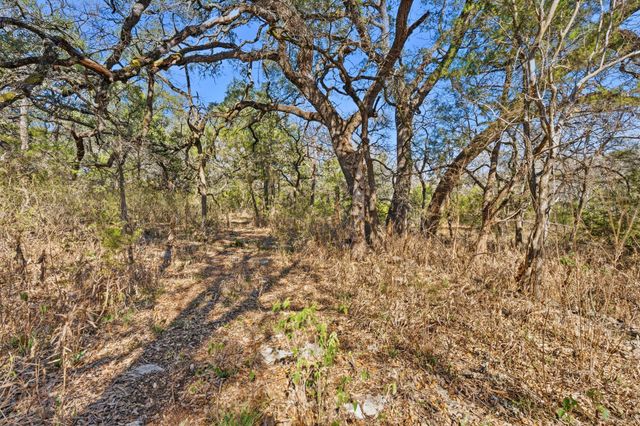 1081 Clark CV, Buda, TX 78610