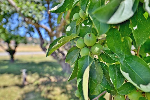 4464 Tioga Way, Central Point, OR 97502