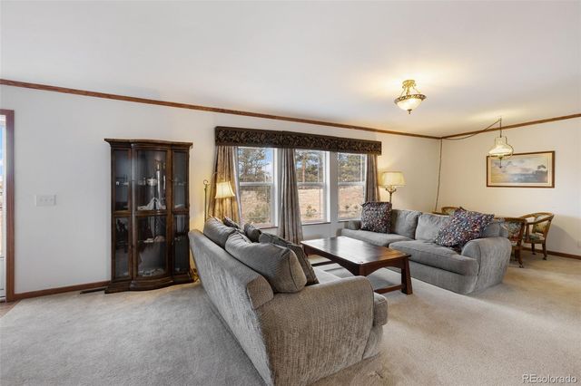 109 Pawnee Place, Florissant, CO 80816