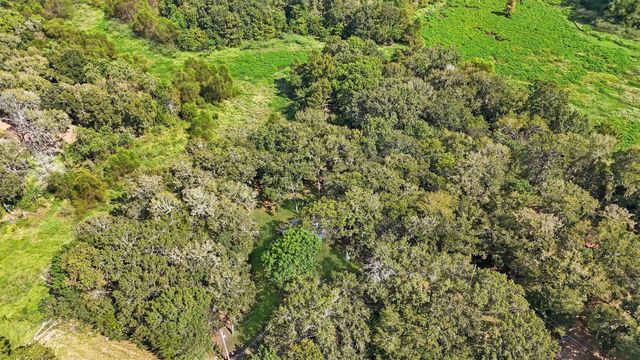 768 County Road 2870, Cleveland, TX 77327