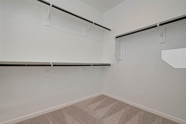 316 N Spotted Fern Drive, Montgomery, TX 77316