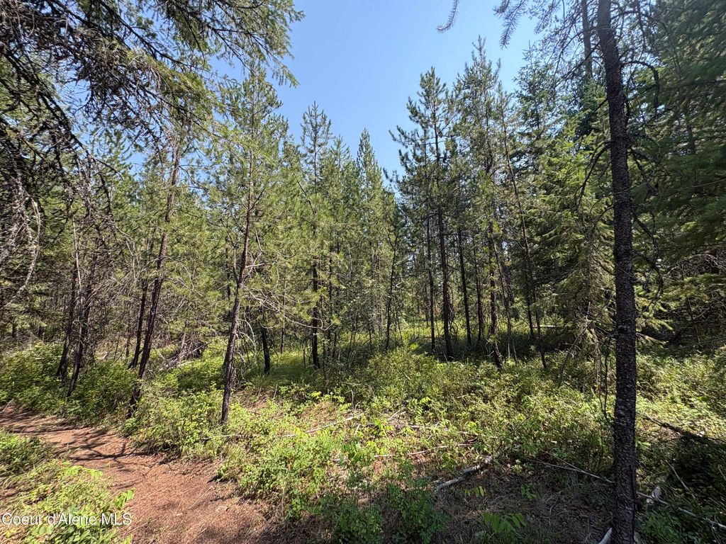 L4B131 W Vermont St, Spirit Lake, ID 83869 photo 1