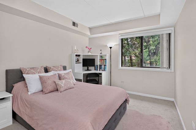 8020 Woodglen Lane 202, Downers Grove, IL 60516