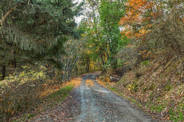 3141 Humbug Creek Road, Jacksonville, OR 97530