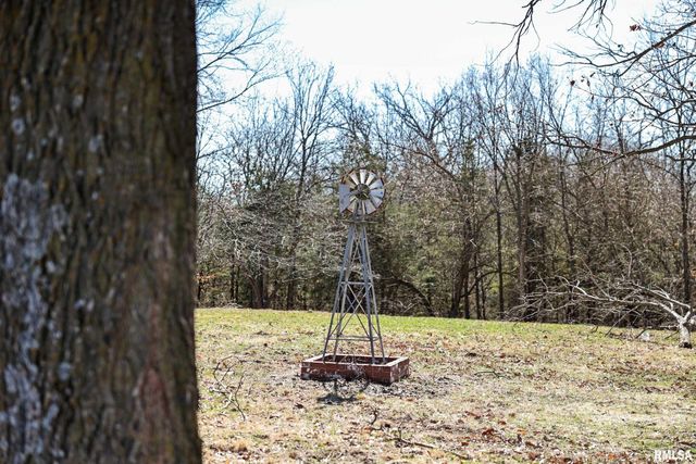 1165 250TH Street, Plymouth, IL 62367