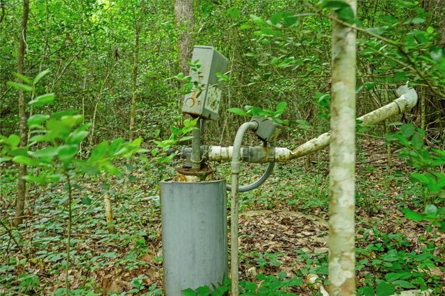 10000 Bentley Drive, Hockley, TX 77447