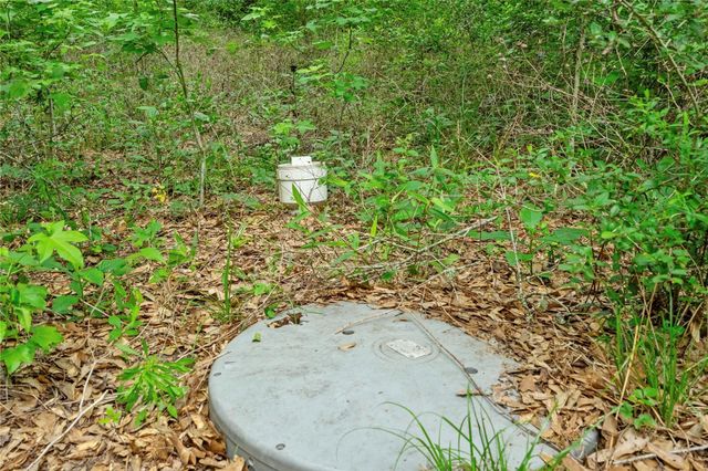 10000 Bentley Drive, Hockley, TX 77447