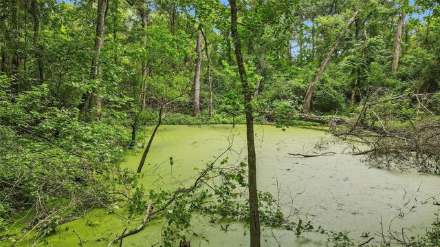 10000 Bentley Drive, Hockley, TX 77447