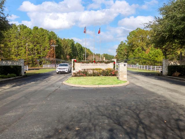 29001 Colin Court, Waller, TX 77484