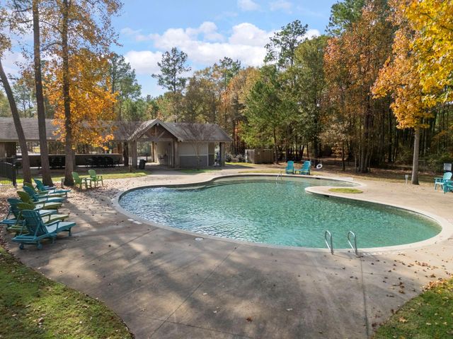 29001 Colin Court, Waller, TX 77484