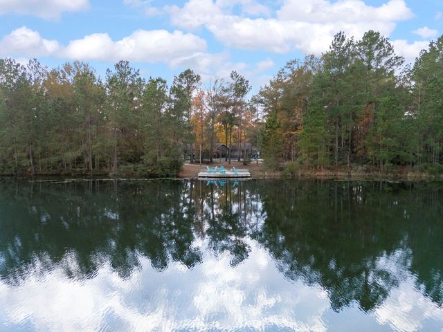 29001 Colin Court, Waller, TX 77484