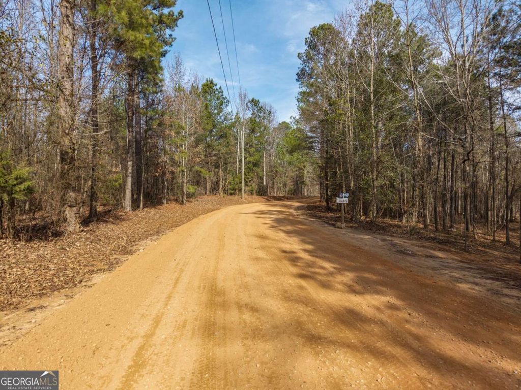2224 Osley Mill Road, Comer, GA 30629 — photo 3