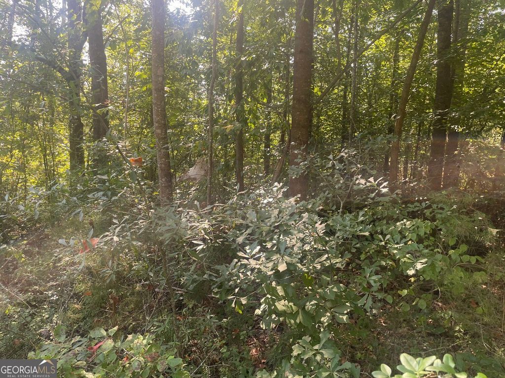 161 Apache Trail, Martin, GA 30557 — photo 5