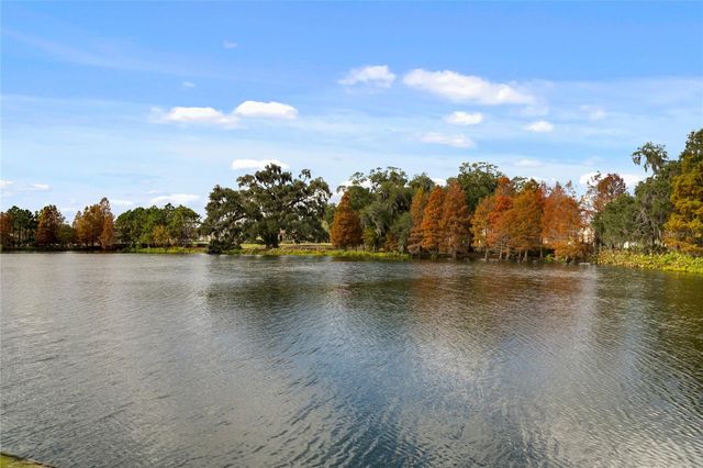 150 HAMMOCK PRESERVE LOOP, Oakland, FL 34787