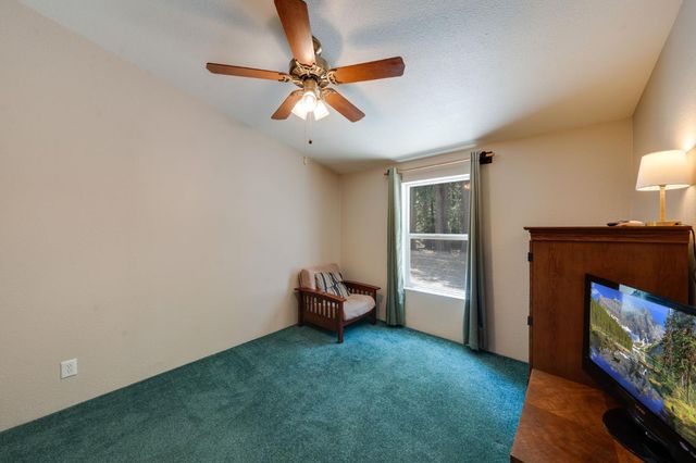 28722 Wood Rd, Pioneer, CA 95666