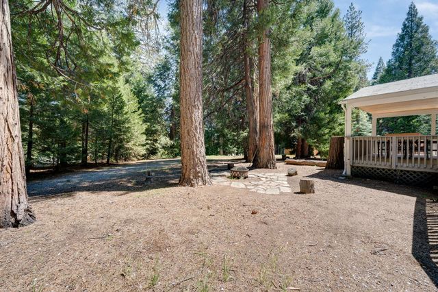 28722 Wood Rd, Pioneer, CA 95666