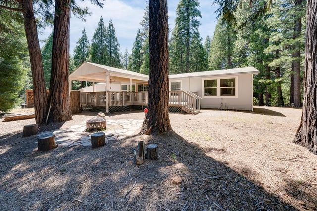 28722 Wood Rd, Pioneer, CA 95666