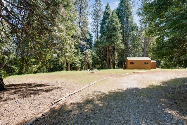 28722 Wood Rd, Pioneer, CA 95666