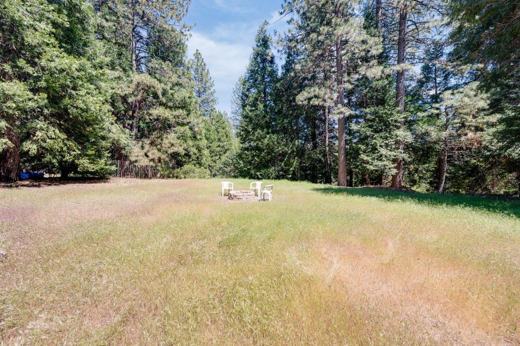 28722 Wood Rd, Pioneer, CA 95666