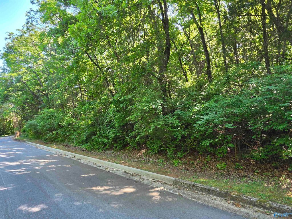 10152 Skylark Drive, Huntsville, AL 35803