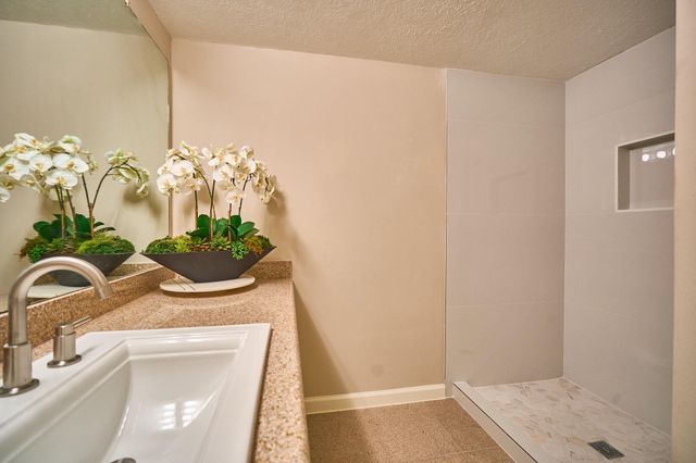 10818 Briar Forest Drive 34, Houston, TX 77042