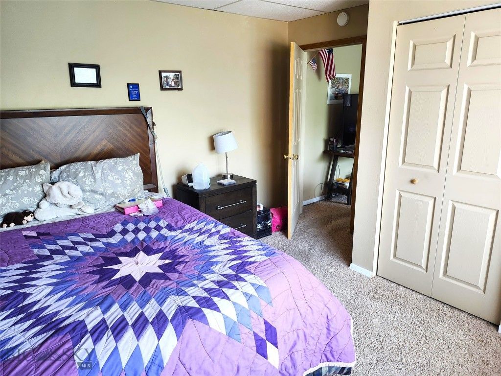 217 W Clark, Livingston, MT 59047 photo 14