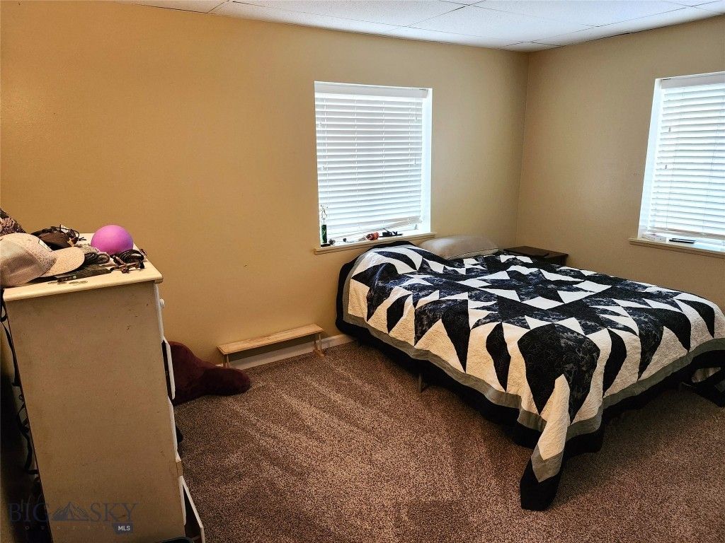 217 W Clark, Livingston, MT 59047 photo 17