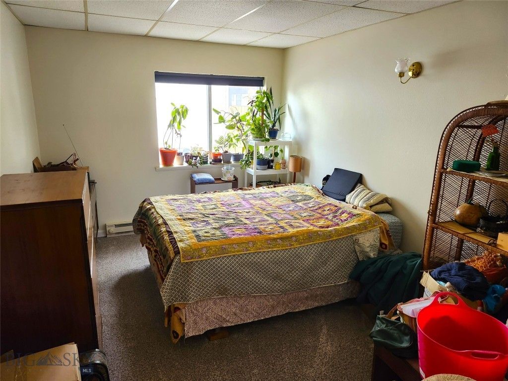 217 W Clark, Livingston, MT 59047 photo 26