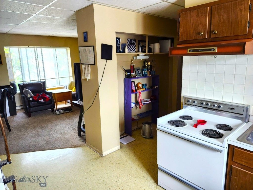 217 W Clark, Livingston, MT 59047 photo 27