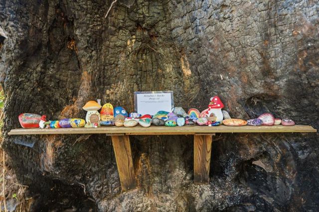 11931 Highway 9, Boulder Creek, CA 95006