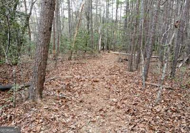 203 Green Acres Road, Blairsville, GA 30512